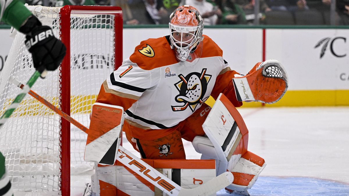 Pět kousků od Dallasu, přesto patří Dostál mezi nejlepší. Anaheim se hřeje na špici Pacifiku